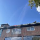 백곡3 | [충북 진천 카페] 백곡저수지 인근 예쁜 자연 속 대형카페, 화계절 힐링 후기(애견동반)