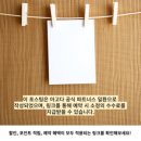 렉시호텔 | 시간이 멈춘 듯한 고요함, 나라의 숨겨진 보석 호텔 렉시(Hotel LEXY)에서의 하룻밤