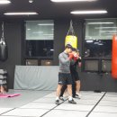 팀엑스복싱 이미지