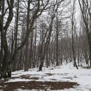 신월동202 | 양천구용한점집 승진운 흐름 궁금해서 다녀온 신월동신점 용화당 이야기 ㅎㅎㅎ