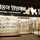 하루멍멍 이미지