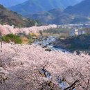 화개119지역대 이미지