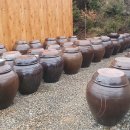 지리산정자나무펜션 | 가성비 좋은 1박 2식 여행지 지리산 뱀사골 달궁 정자나무식당,정자나무펜션으로 놀러 오세요. ^ ^