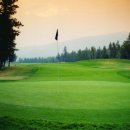 맥켄리골프연습장 이미지