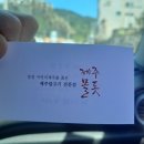 범이네농장 | 맛집] 명함까지 챙겨온 찐 말고기 전문점 '몰돗' 묻고 떠블 코스 내돈내산 후기 (ft. 호올스ㅠㅠ미안하다.)