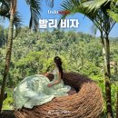 발리PC | 발리 도착 전자 비자 신청 방법 | 인도네시아 입국신고서 준비 절차