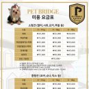 펫브릿지 이미지