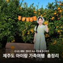 카앤톡 | 제주도 아이랑 첫 가족여행 총정리 (렌터카·숙소·동선)