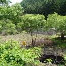 산속농장 이미지