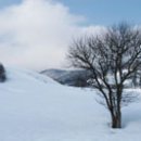 황금빛 목장 이미지