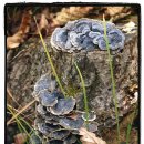 운곡옆골 이미지