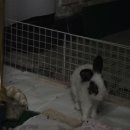 결벽 이미지