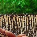 장성농장 이미지