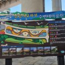 남항대교 하부 이미지