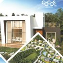 코커스101 이미지