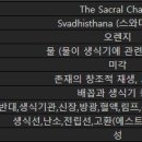 차크라