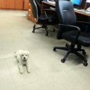 옥구지구대 이미지