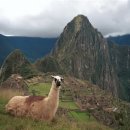 세계 최고의 관광명소 46.페루의 마추비추 Machu Picchu 이미지