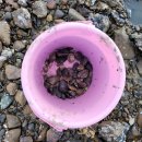 별이보이는펜션 이미지