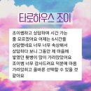 조이하우스 | 카톡타로 타로하우스 조이샘 상담후기