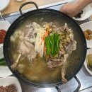 금테두른닭&오리 | [경북청도맛집] 청도숯불갈비 : 청도시장 근처 오리백숙 맛집 (복날 is 커밍..)