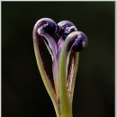 달맞이펜션 이미지