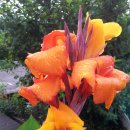 메이하우스 이미지