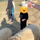 장수원목장 네이버블로그