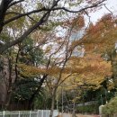 해송초등학교 | 좌동영어학원(기초부족↓신곡초5 여학생♥ )