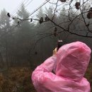 미랑목장 이미지