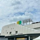 영동종합밧데리 | 안산휴게소 가볼만한곳! 작은 아울렛 같은 휴게소 먹거리·볼거리 총정리