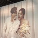 라파이