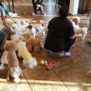 아껴줄개 이미지