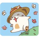 명돌캠프 이미지