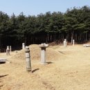 의령남씨 종중묘역 이미지