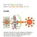 EM시스템 - 남양주시 | EM시스템