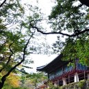 쌀바위맛집 이미지