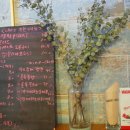 피자노베 이미지