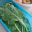 고봉민김밥人 | 3월 2주 일상 블로그 대전댁 먹부림 기록 다이어트는 내일부터