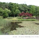 황학산수목원 이미지