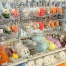 세정타워 앞 횡단보도 | 나가노마켓 팝업 in 부산, 농담곰 컬러곰 후기,,, 삼정타워 주차..(품절현황)