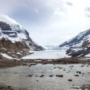 캐나다 재스퍼 국립공원 스터트필드 빙하(Stutfield Glacier)의 연도별 후퇴(녹음) 현황 이미지