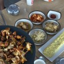 카페다우리 | 가평조종면맛집 다우리 두루치기 아기랑 후기