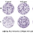 넥스젠