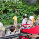 꿈꾸는 종이놀이터 이미지