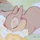 에브리띵 이미지