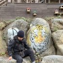 [백패킹] 2023,11 가평 백패킹 , 어비산 백패킹 , 어비산 등산로 , 가평 등산 (1년 지난 묵는 후기)