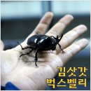 더불어 농장 이미지