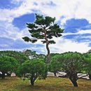 다연에너지 이미지