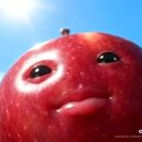 도마도 네이버블로그